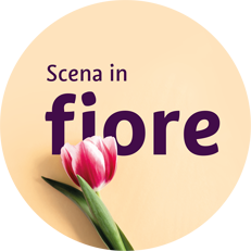Offerta "Scena in fiore" | Appartamenti B&B Gasserhof Verdines
